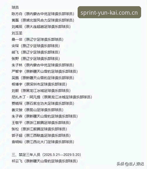 中国足协禁足名单vs云开体育平台直播：2024年足球圈反腐风暴全解析
